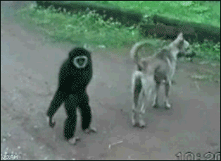 1 (314x228, 2030Kb)