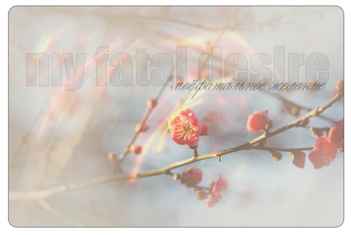 1320529979_yepigraf_2 (700x469, 358Kb)