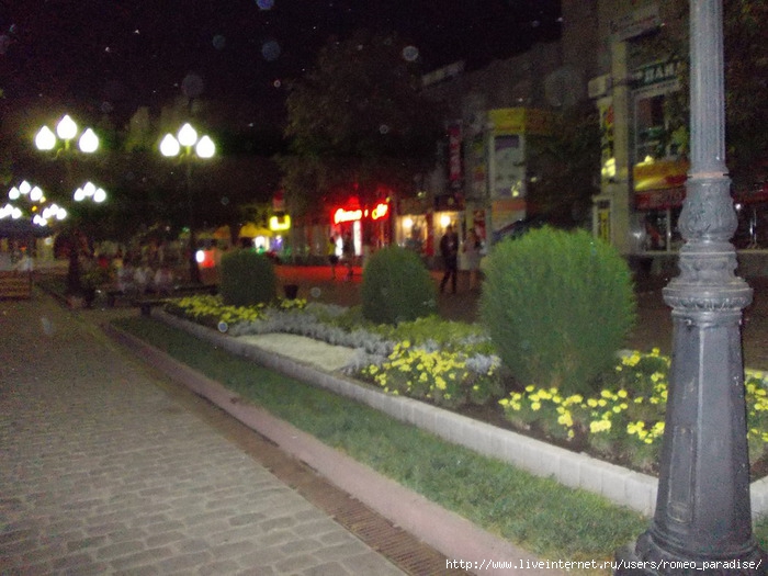 DSCN0310 (700x525, 234Kb)