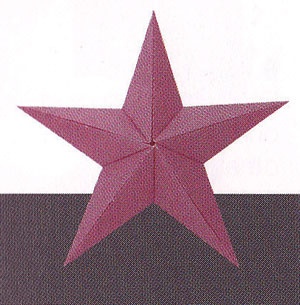 origami_zvaigzde_20101203 (300x305, 37Kb)