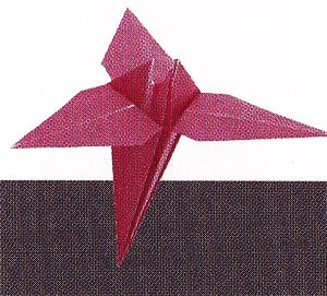 origamis_irisas_20100324 (300x271, 40Kb)