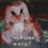 4 (100x100, 23Kb)