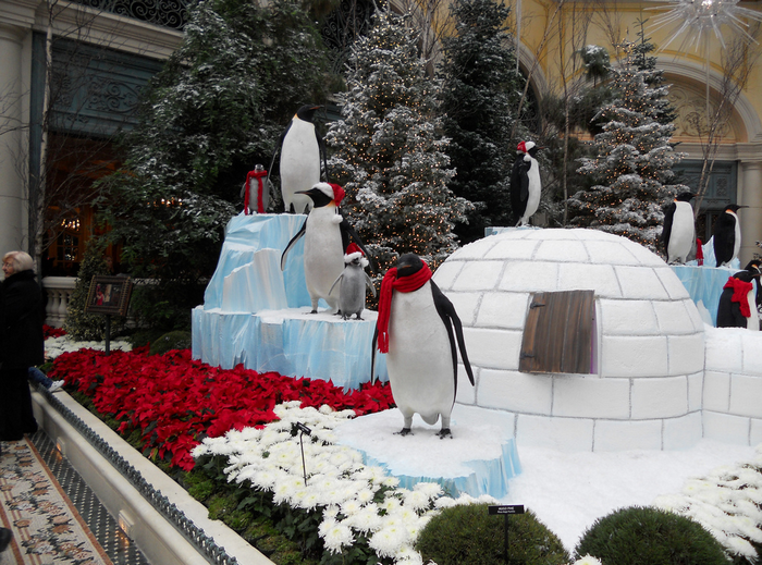 All sizes  Bellagio Atrium Garden  Flickr - Photo Sharing! (700x519, 891Kb)