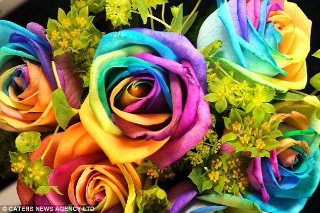 Multi-coloured-Rose-Flowers (634x421, 104Kb)