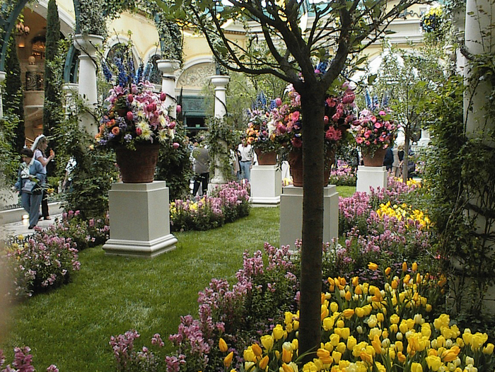 All sizes  Bellagio Garden.jpg  Flickr - Photo Sharing! (700x526, 1024Kb)