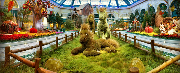 Bellagio Conservatory and Botanical Gardens - Las Vegas (700x285, 570Kb)