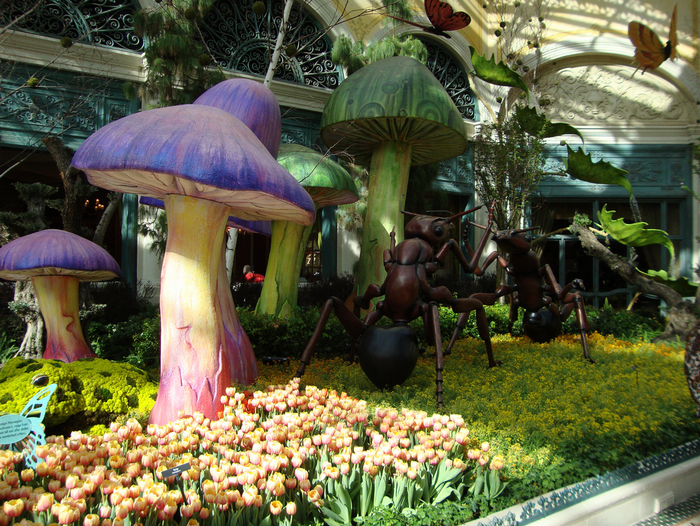 All sizes  Bellagio Conservatory & Botanical Gardens  Flickr - Photo Sharing! (700x526, 1012Kb)