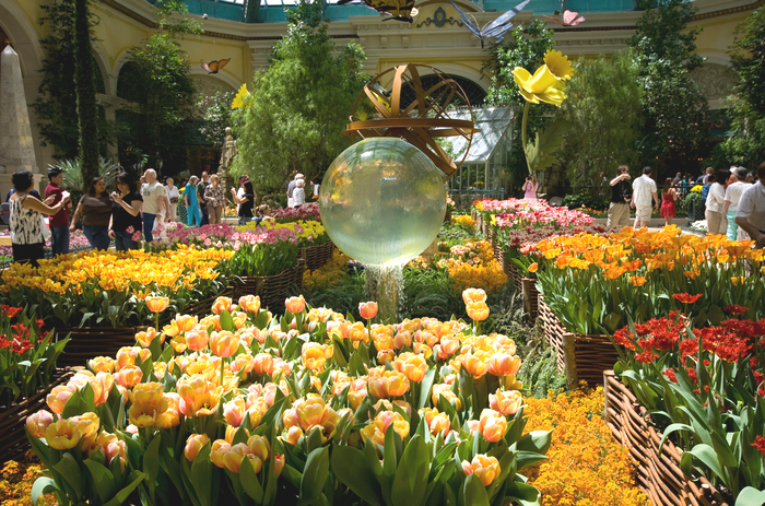 All sizes  Botanical Gardens, The Bellagio  Flickr - Photo Sharing! (700x463, 796Kb)