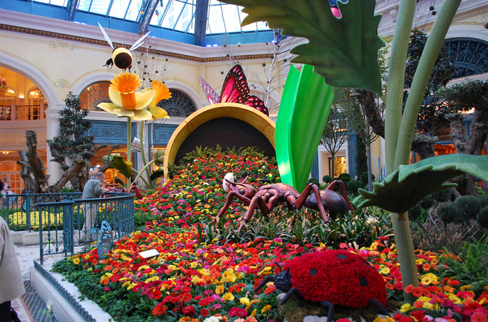 All sizes  Las Vegas - Bellagio Hotel Garden  Flickr - Photo Sharing! (700x463, 889Kb)