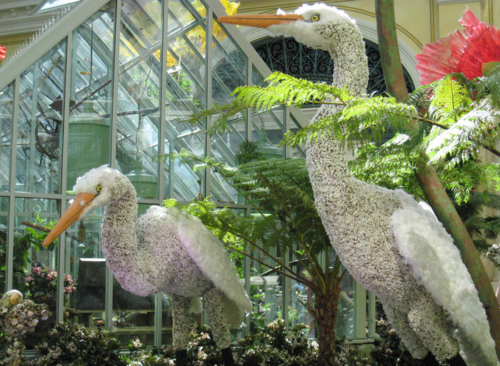 All sizes  bellagio pelican  Flickr - Photo Sharing! (700x513, 991Kb)