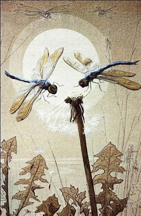 4195696_annemiekedragonflies (457x700, 308Kb)