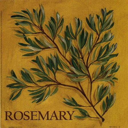 rosemary (448x447, 68Kb)
