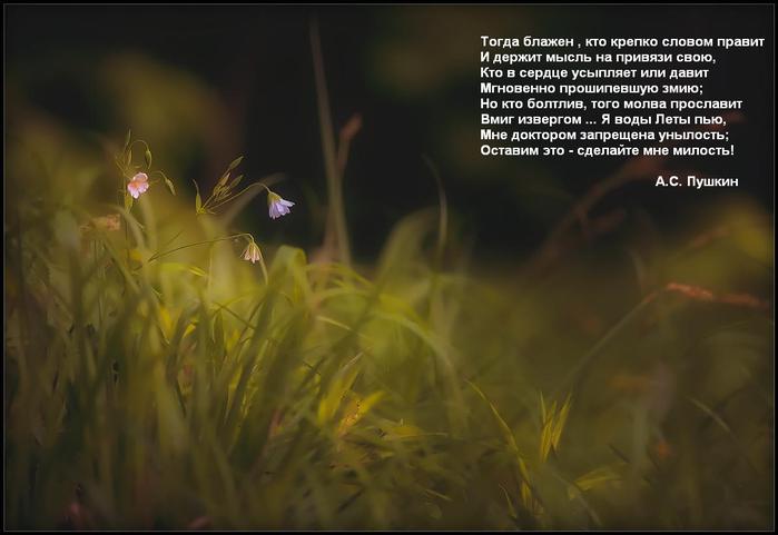 282042 (700x481, 35Kb)
