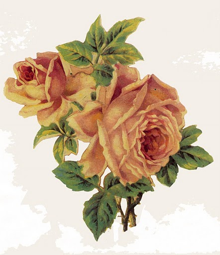5 (442x512, 52Kb)