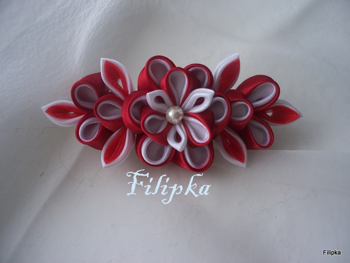 100_4735 (700x525, 77Kb)