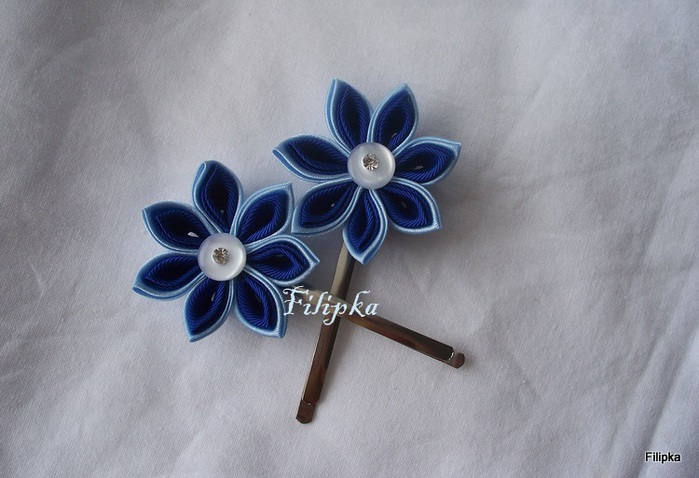 100_4572 (700x478, 111Kb)