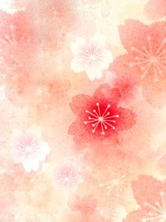 2G05455Ya (240x320, 45Kb)