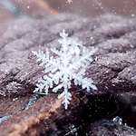 Превью snowflake004 (150x150, 168Kb)