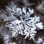 Превью snowflake010 (150x150, 67Kb)