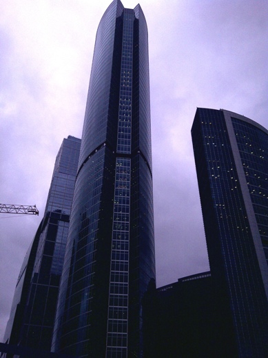 IMG-20111110-01311 (389x518, 71Kb)