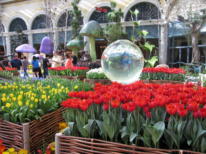 79800031_All_sizes__Spring_at_the_Bellagio__Flickr__Photo_Sharing (700x526, 1015Kb)