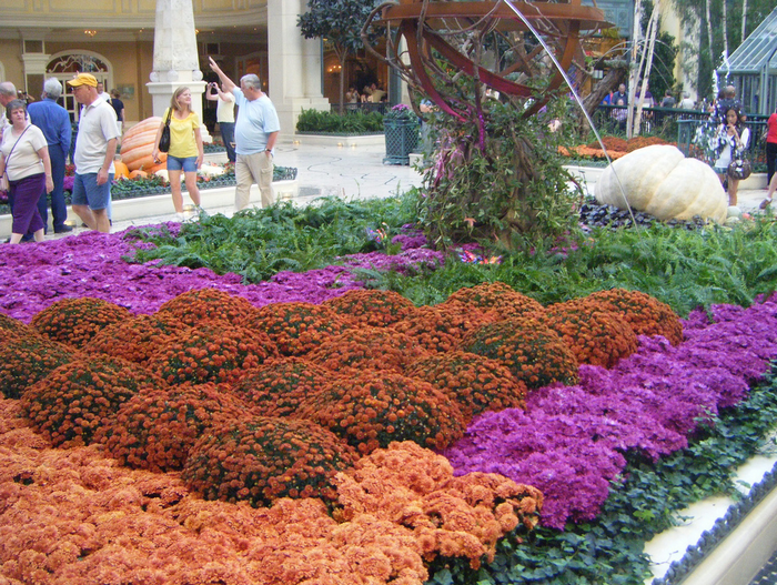 79800300_All_sizes__Bellagio_Botanical_Gardens__Flickr__Photo_Sharing (700x527, 1034Kb)