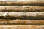  4027554-wood-texture (400x265, 33Kb)