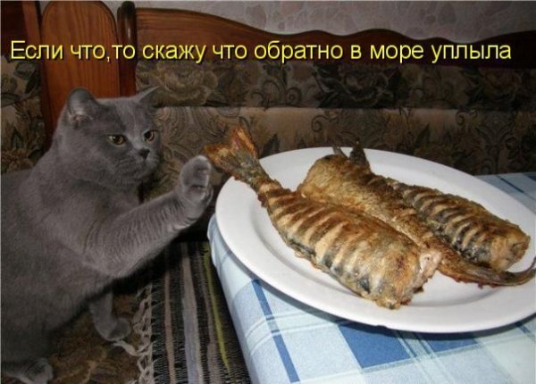 4326608_79691293_72749600_1248340740_podpisi_35 (600x430, 55Kb)