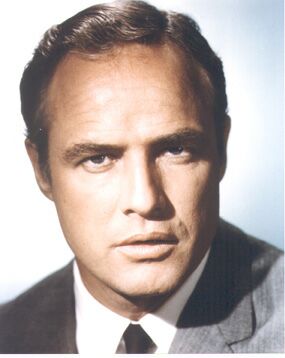 brando04[1] (285x358, 14Kb)