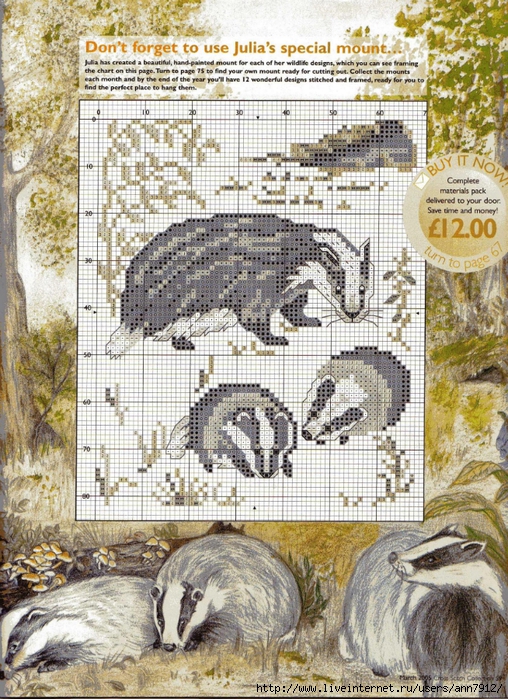 Cross Stitch Collection Issue 115 59 (508x700, 428Kb)