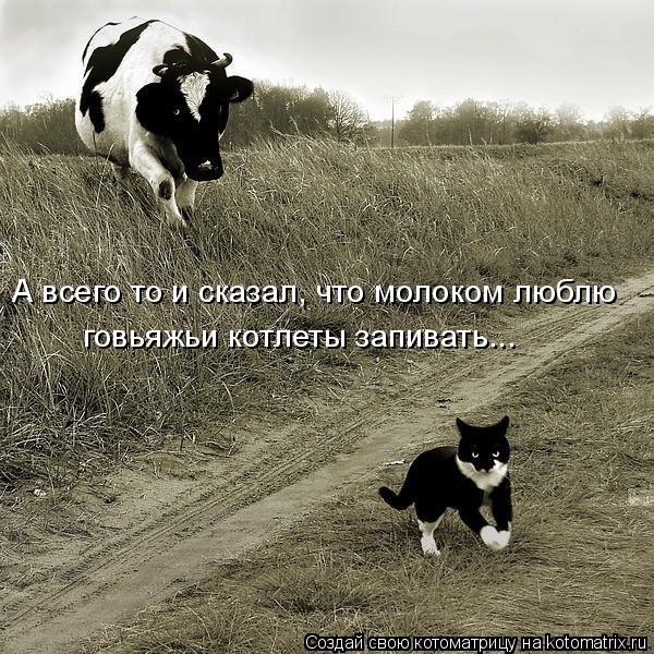    )))))))))) (600x600, 157Kb)