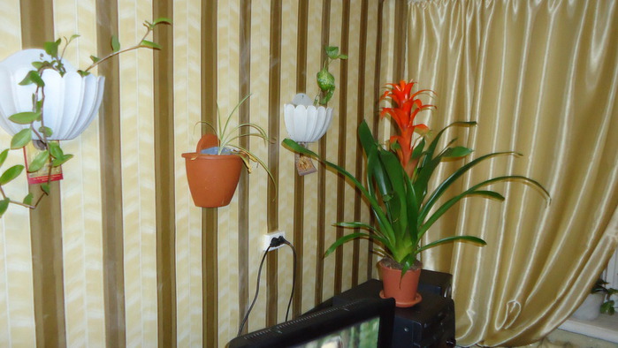DSC00112 (700x394, 89Kb)