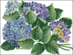  14259_Hydrangea (660x498, 134Kb)