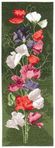  Sweet Pea Panel (149x400, 19Kb)