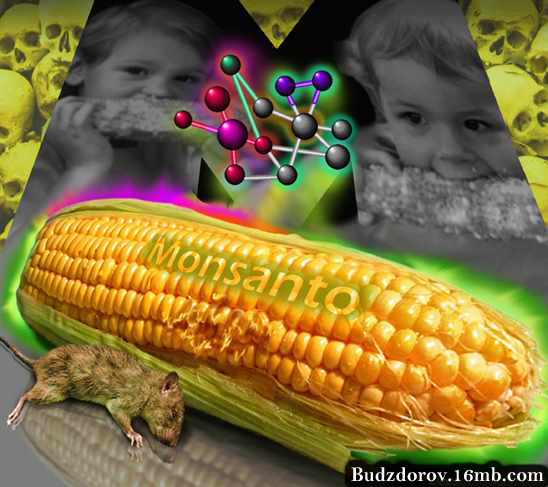 monsanto (548x487, 205Kb)