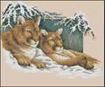  dimensions_13655_snowy cougars (606x504, 298Kb)