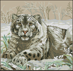  Dimensions03835-The_Snow_Leopard (600x585, 376Kb)