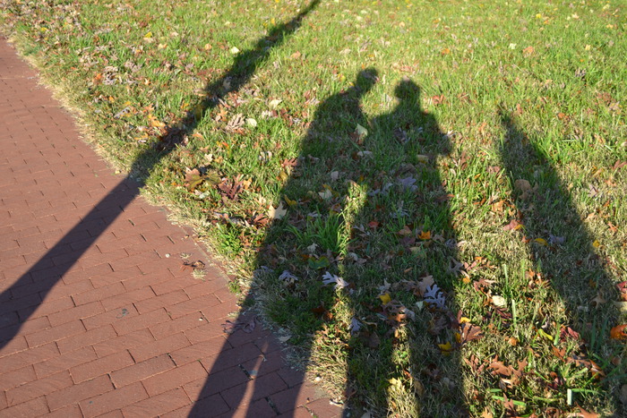 1321470695_W11 (700x467, 187Kb)