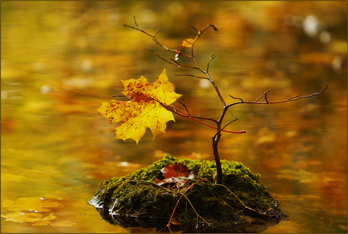 herbst-am-see (700x471, 121Kb)