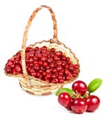 1309931804-shutterstock_48122518 (160x169, 5Kb)