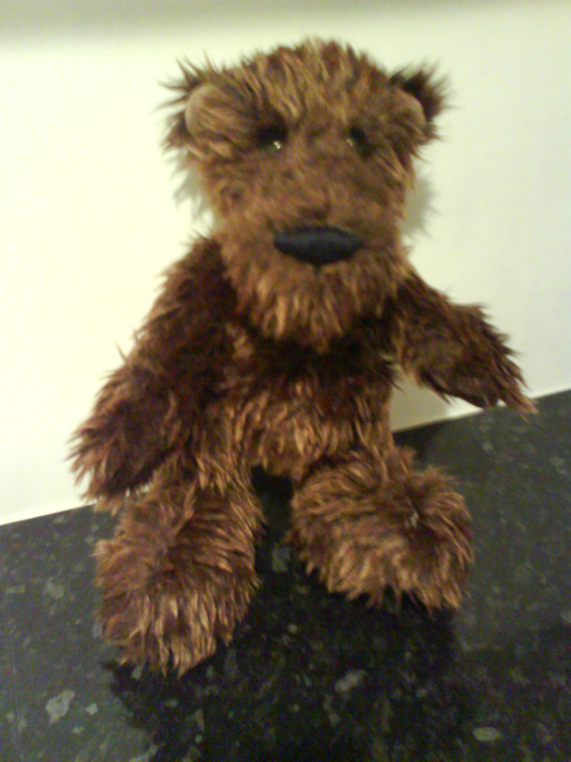 DSC01488 (525x700, 456Kb)