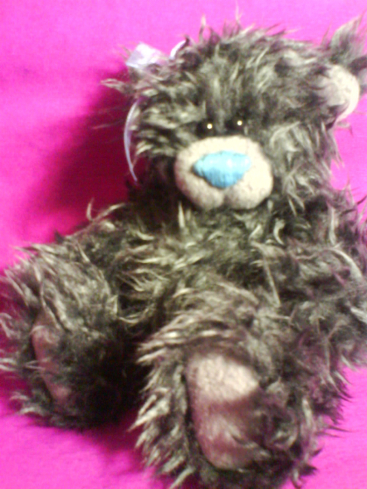 DSC01564 (525x700, 441Kb)