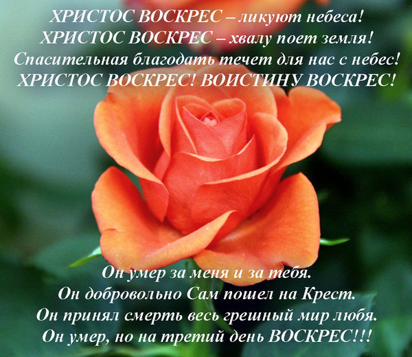 http://img0.liveinternet.ru/images/attach/c/4/80/187/80187208_large_hristos_voskres_ya.jpg
