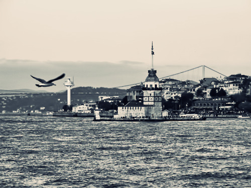 tumblr_luuy8bl7Zx1qdh7t6o1_500 (500x375, 84Kb)