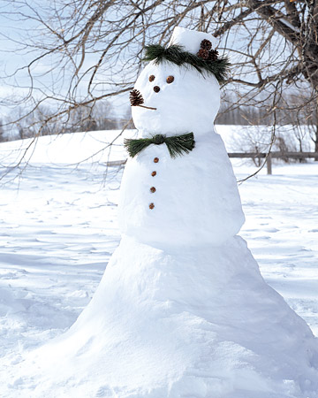 0106_msl_snowman_xl (360x450, 56Kb)