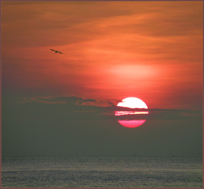 0_6a870_39a537fe_XL (700x649, 109Kb)