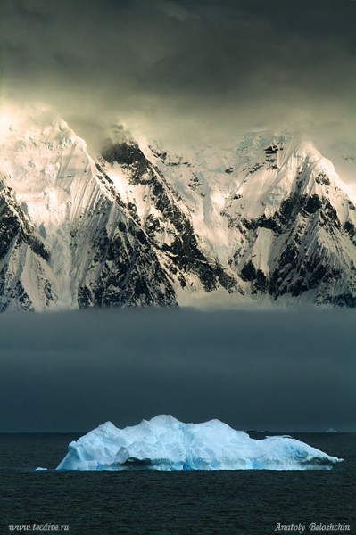 1303286901_26 (399x600, 59Kb)