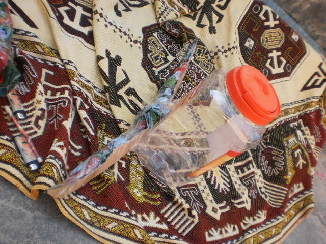 P9140255 (640x480, 74Kb)