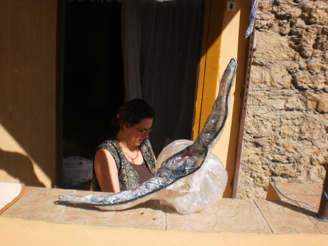 P9160277 (640x480, 80Kb)