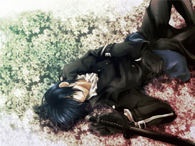 2fc8e9e3819e (640x480, 70Kb)